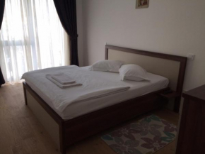 ELDA Apartment ( M )  Брашов